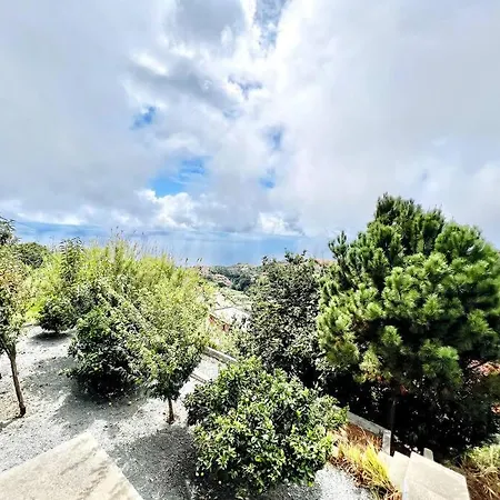 Amarela By Your Madeira *